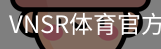 VNSR体育官方网站