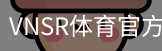VNSR体育官方网站